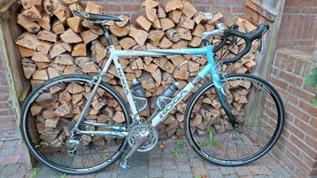 Koga Miyata Roadrunner maat 60 beschikbaar voor biedingen