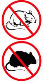 Muizen bestrijding, Diensten en Vakmensen