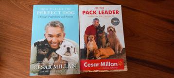 Millan- How To Raise The Perfect Dog