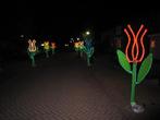 Feestverlichting TULPEN, Straatverlichting Straatfeest, Hobby en Vrije tijd, Ophalen, Gebruikt, Overige