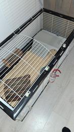 Cavia/konijnen kooi, Ophalen, Kooi, Zo goed als nieuw, 90 cm of meer