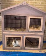 Konijnenhok (met konijn) te koop, Ophalen, 90 cm of meer, Konijn, Hok