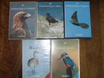 PAUL DOHERTY-BIRD IMAGES., Cd's en Dvd's, Dvd's | Documentaire en Educatief, Boxset, Natuur, Alle leeftijden, Ophalen of Verzenden