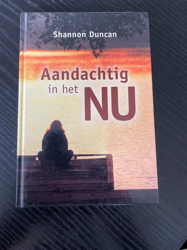 Aandachtig in het NU - Shannon Duncan, Boeken, Esoterie en Spiritualiteit, Gelezen, Achtergrond en Informatie, Spiritualiteit algemeen