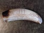 Gegraveerde potvistand. Scrimshaw. Replica, Ophalen of Verzenden
