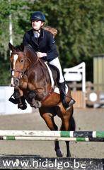 Ruiter aangeboden om paarden uit te brengen., Ophalen of Verzenden