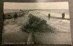 Zuiderzeewerken, Ophalen of Verzenden, 1940 tot 1960, Ongelopen, Flevoland