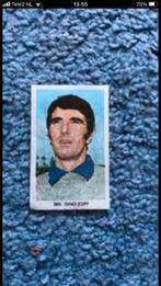 Dino zoff panini vanderhout 1979-1980, Ophalen of Verzenden, Zo goed als nieuw, Ajax, Poster, Plaatje of Sticker