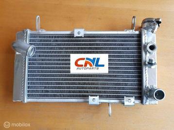 Radiateur FOR Suzuki SV650 & SV650S 1999-2002 radiator 00 01 beschikbaar voor biedingen