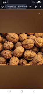 Verse biologische walnoten oogst 2025, Diversen, Ophalen of Verzenden