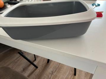 Kitten kattenbak of voor een oudere kat beschikbaar voor biedingen