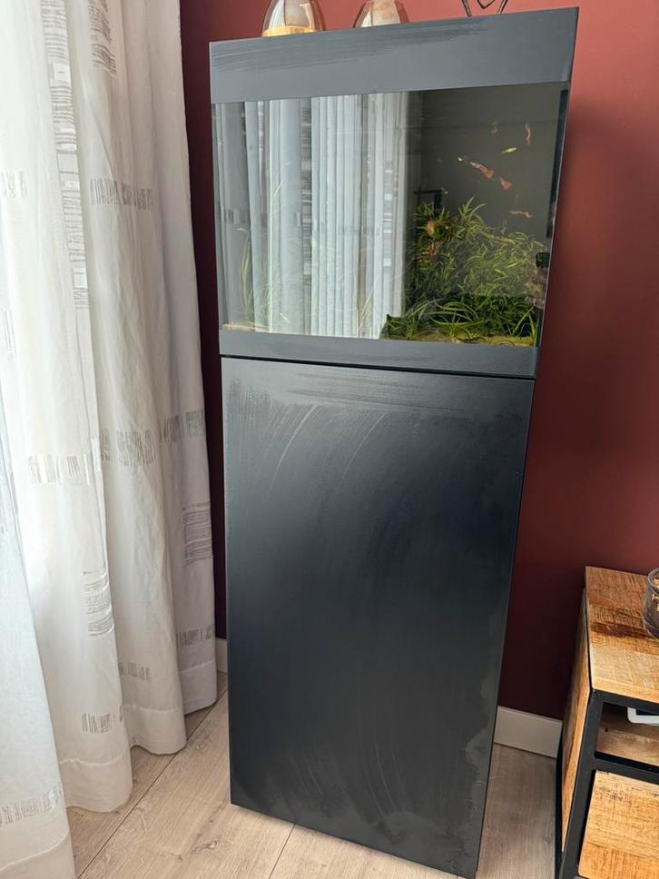 Oase styleline 85, Dieren en Toebehoren, Vissen | Aquaria en Toebehoren, Gebruikt, Gevuld zoetwateraquarium, Ophalen