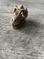 Superfish aquarium decoratie T-Rex schedel, Ophalen of Verzenden, Zo goed als nieuw, Sierelement