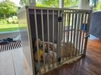 Hundos hondenbench. Zo goed als nieuw!, Dieren en Toebehoren, Ophalen, Zo goed als nieuw