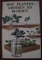 Hoe planten groeien en bloeien - Globe-reeks - vintage, Ophalen of Verzenden, Zo goed als nieuw, Bloemen, Planten en Bomen, F. Newing & R Bowood