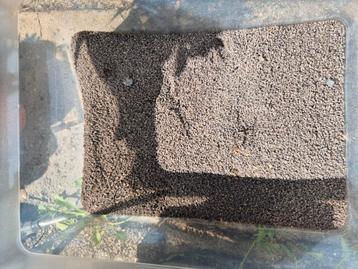 Aquariumgrind beschikbaar voor biedingen