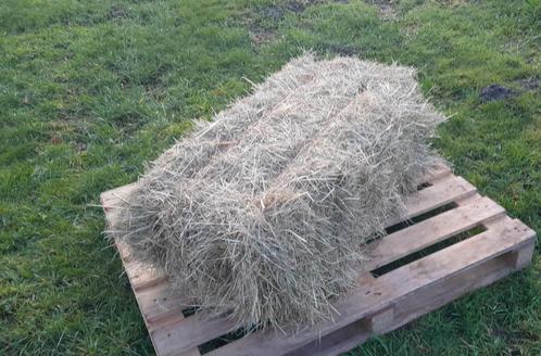 Hooi, kleine / ronde / vierkante hooibalen, Dieren en Toebehoren, Dierenvoeding, Vee, Ophalen