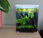 Super fish home 8 aquarium, Ophalen, Zo goed als nieuw, Plant(en), Steen of Hout