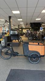 Cangoo Buckle Up, Fietsen en Brommers, Fietsen | Bakfietsen, Overige merken, 3 kinderen, Ophalen of Verzenden, Nieuw