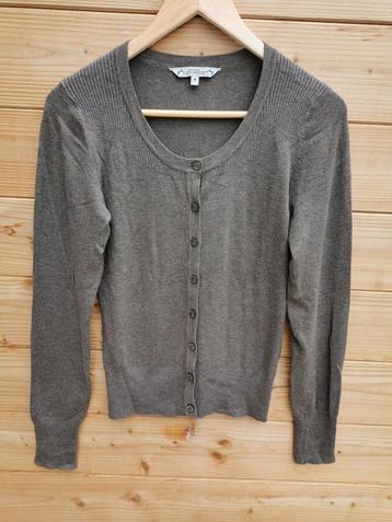 Clockhouse vest mt. M beschikbaar voor biedingen