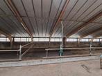 Ruime stal te huur voor paarden, Dieren en Toebehoren, Stalling en Weidegang, Stalling, 4 paarden of pony's of meer