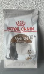 Katten droogvoer, royal canin senior ageing 12+, Dieren en Toebehoren, Dierenvoeding, Ophalen, Kat