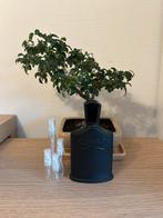 Creed Green Irish Tweed parfum sample/decant, Ophalen, Zo goed als nieuw