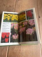 500 tuinplanten boek., Ophalen of Verzenden, Zo goed als nieuw, Tuinieren en Tuinplanten