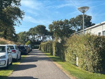 Recreatiegrond  / campings / kamphuizen te koop gevraagd - beschikbaar voor biedingen