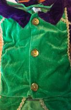 Pietenpak groen paars maat 110-116, Diversen, Sinterklaas, Verzenden, Zo goed als nieuw