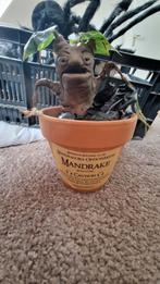 Harry Potter mandrake 22cm, Ophalen of Verzenden