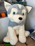 Knuffel hond 70 cm, Ophalen, Zo goed als nieuw, Hond
