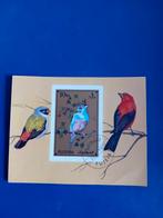 Postzegel Fujeira - Vogels, Ophalen of Verzenden