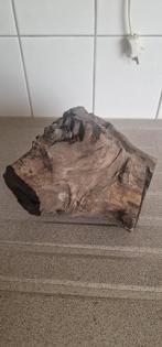 versteend hout/zeer hard hout, Ophalen, Mineraal