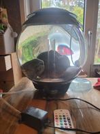 Biorb 15 liter., Dieren en Toebehoren, Ophalen, Leeg aquarium