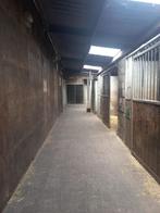 Paardenstal te huur 200€  in Milheeze vlak bij het bos, Dieren en Toebehoren, Stalling en Weidegang