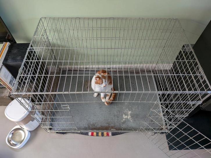 Hondenbench 110x70x70, Dieren en Toebehoren, Hondenbenches, Gebruikt, Ophalen