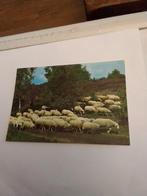 GROETEN UIT NUNSPEET. 1974, Ophalen of Verzenden, 1960 tot 1980, Gelderland