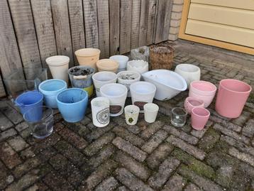 GRATIS Bloempotten.  beschikbaar voor biedingen