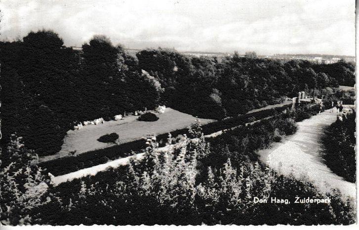 DEN HAAG - ZUIDERPARK, Verzamelen, Ansichtkaarten | Nederland, Ongelopen, Zuid-Holland, 1940 tot 1960, Ophalen of Verzenden