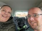 Vakantiebaasje voor uw hond oppas voor uw hond, Dieren en Toebehoren, Dierenvoeding, Ophalen of Verzenden, Hond