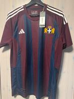 PEC Zwolle Leo Major bevrijdingsshirt 24/25 maat M, Ophalen of Verzenden, Nieuw, Shirt