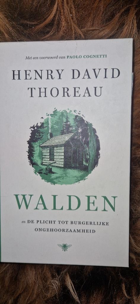 Walden - plicht tot burgerlijke ongehoorzaamheid (NL editie), Boeken, 20e eeuw of later, Henry David Thoreau, Europa, Nieuw