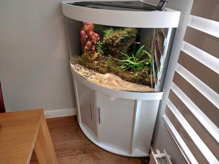 Juwel Trigon 190 (hoekaquarium) incl. meubel & Chihiros LED, Dieren en Toebehoren, Vissen | Aquaria en Toebehoren, Gebruikt, Leeg aquarium