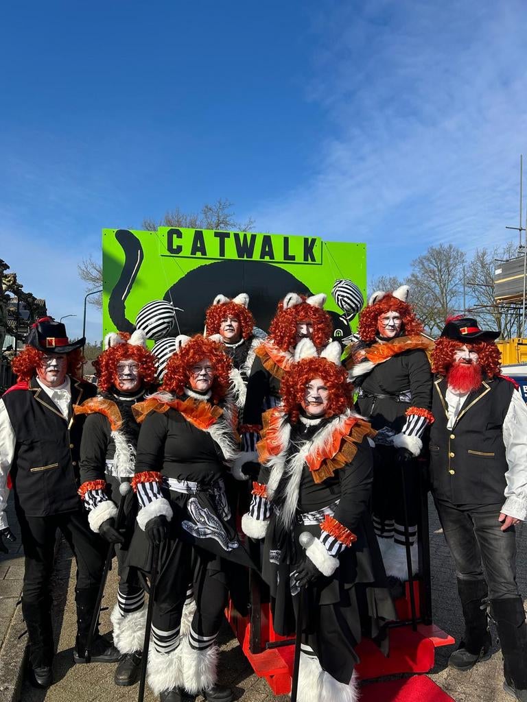 Carnavalskleding met wagen, Hobby en Vrije tijd, Feestartikelen, Gebruikt, Kostuum, Carnaval, Ophalen of Verzenden