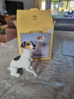 Jack russell hondje beeldje nieuw in de doos., Ophalen of Verzenden, Zo goed als nieuw