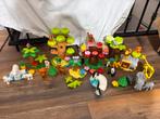 Duplo 10975 Dieren van de Wereld + Extra Dieren, Ophalen of Verzenden, Zo goed als nieuw, Complete set, Duplo