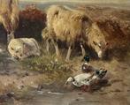 2 Oude 19e eeuwse Vee schilderijen., Ophalen