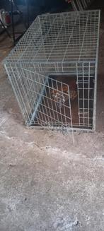 Hondenbens 90 bij 60 en 70 hoog, Dieren en Toebehoren, Ophalen of Verzenden, Minder dan 65 cm