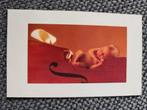 Anne Geddes kaart, Ophalen of Verzenden, 2000 tot heden, Geboortekaartje